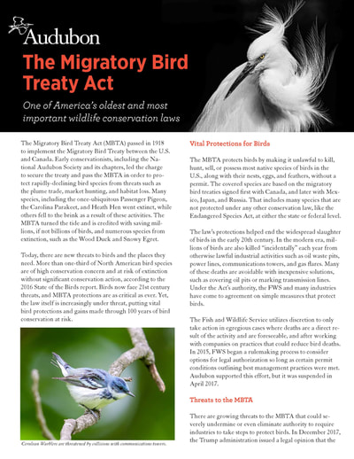Image: Audubon Migratory Bird Treaty Act Fact Sheet