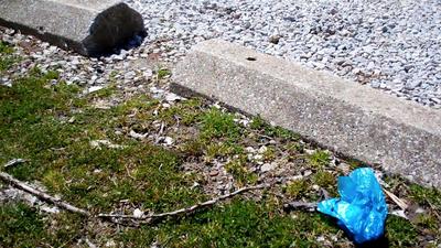 Blue plastic bag litter at a park.